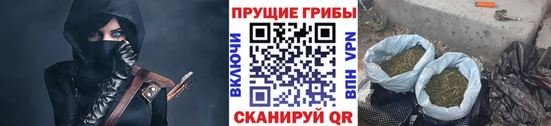 Галлюциногенные грибы GOLDEN TEACHER  Гуково 
